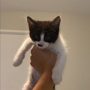 Meet your Posher, Natan